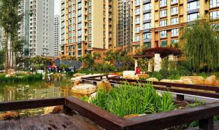 360保险经纪牌照